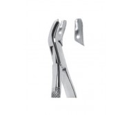 Extracting Forceps